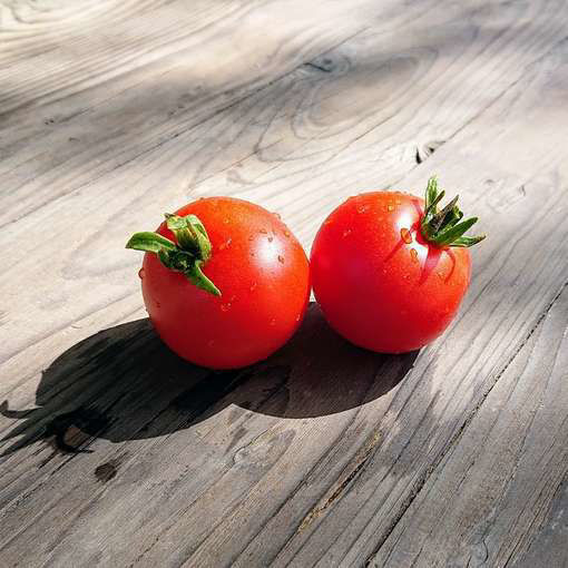 Snow Fairytale Tomato Seeds