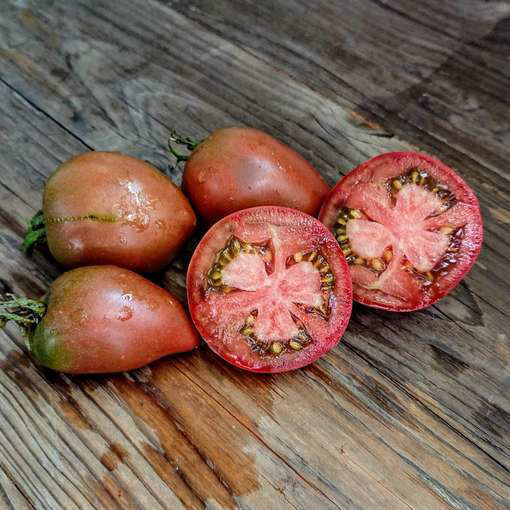 Almandine Dwarf Tomato Project