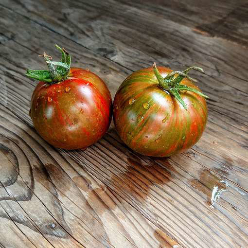 Andy's Forty Dwarf Tomato Project