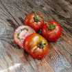 Aussie Drop Dwarf Tomato Project