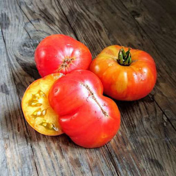 Awesome Dwarf Tomato Project Awesome Dwarf Tomato Project