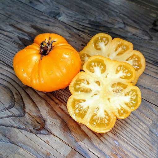 Banksia Queen Dwarf Tomato Project