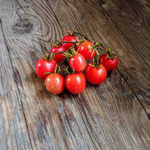 Bendigo Drop Dwarf Tomato Project