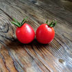 Bendigo Rose Dwarf Tomato Project