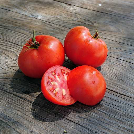 Buddy’s Heart Dwarf Tomato Project