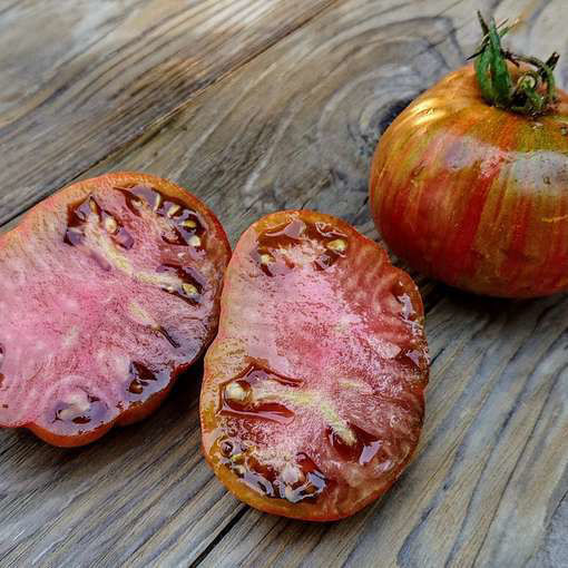 Chocolate Lightning Dwarf Tomato Project