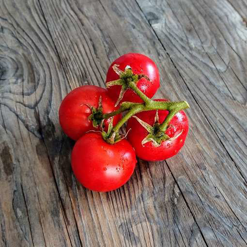 Clare Valley Red Dwarf Tomato Project