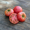 Coorong Pink Dwarf Tomato Project
