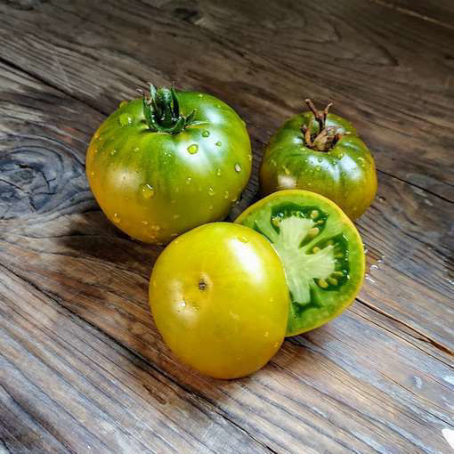 Grandpa Gary's Green Dwarf Tomato Project