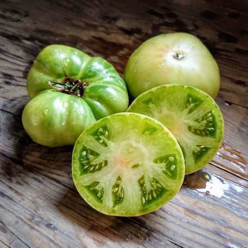 Grinch Dwarf Tomato Project