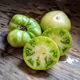 Grinch Dwarf Tomato Project Grinch Dwarf Tomato Project