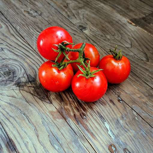 Iditarod Red Dwarf Tomato Project