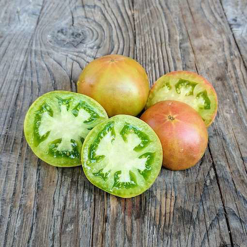 Jade Beauty Dwarf Tomato Project