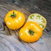Jasmine Yellow Dwarf Tomato Project
