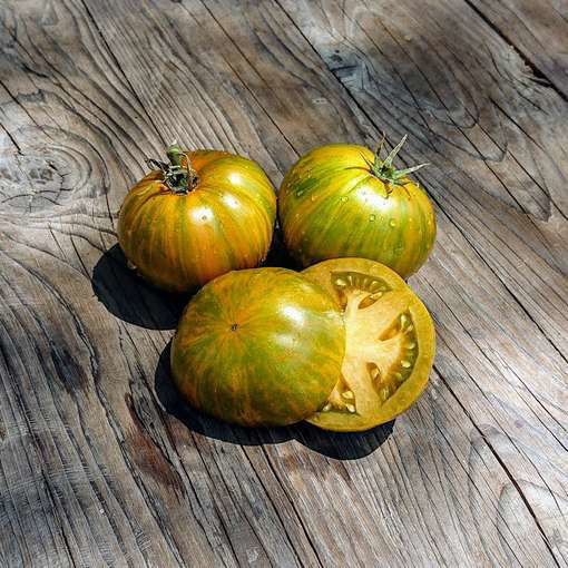 Jeremy’s Stripes Dwarf Tomato Project