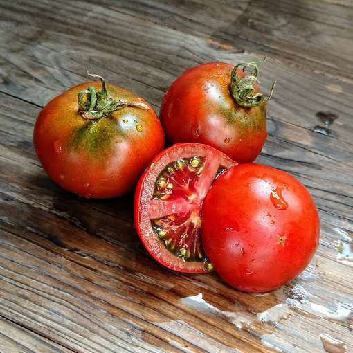 Kangaroo Paw Brown Dwarf Tomato Project