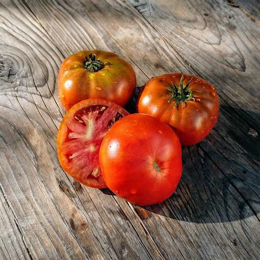 Maralinga Dwarf Tomato Project