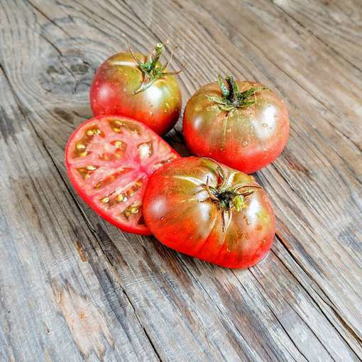 Mary’s Cherry Dwarf Tomato Project