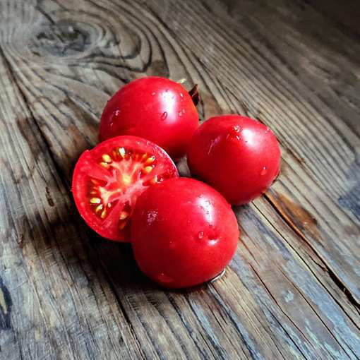 Melanie’s Ballet Dwarf Tomato Project