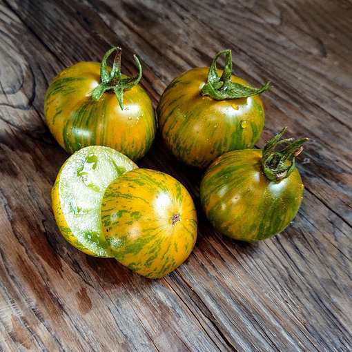 Numbat Dwarf Tomato Project