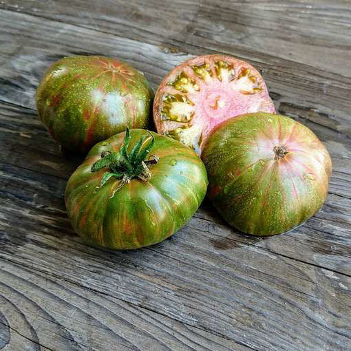 Peppermint Stripes Dwarf Tomato Project