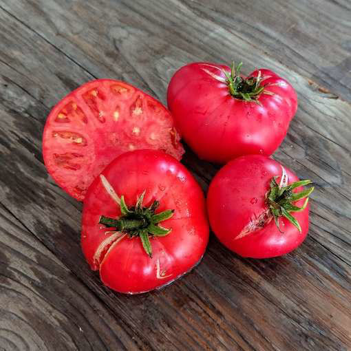 Rosella Crimson Dwarf Tomato Project