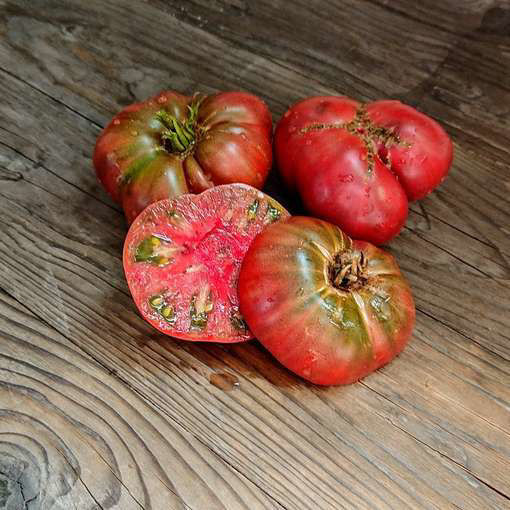 Rosella Purple Dwarf Tomato Project