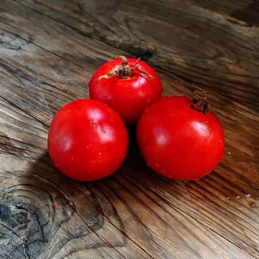 Sarah's Red Dwarf Tomato Project