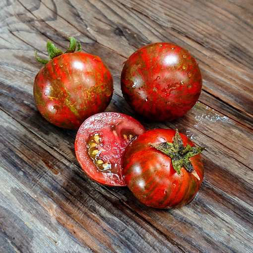 Sarandipity Dwarf Tomato Project