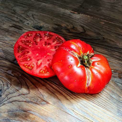 Sweet Scarlet Dwarf Tomato Project