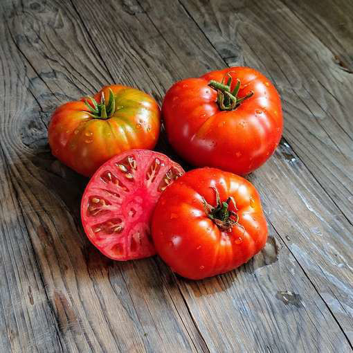 Tanunda Red Dwarf Tomato Project