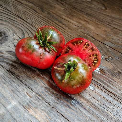 Wild Fred Dwarf Tomato Project