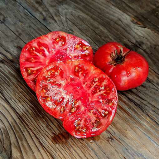 Willa’s Cariboo Rose Dwarf Tomato Project