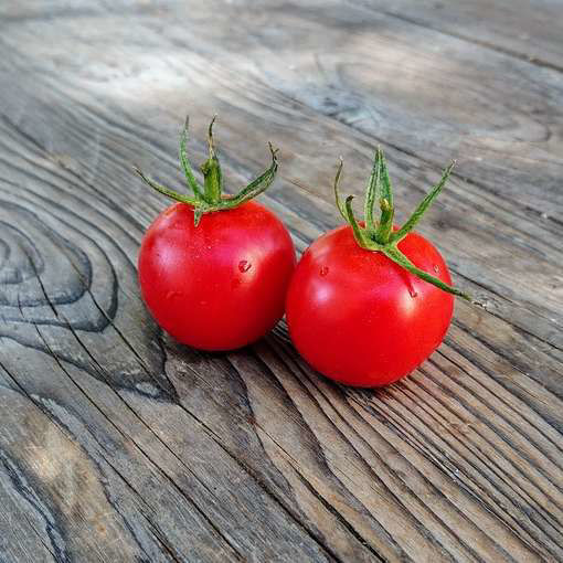 Amy’s Sugar Gem Cherry Tomato