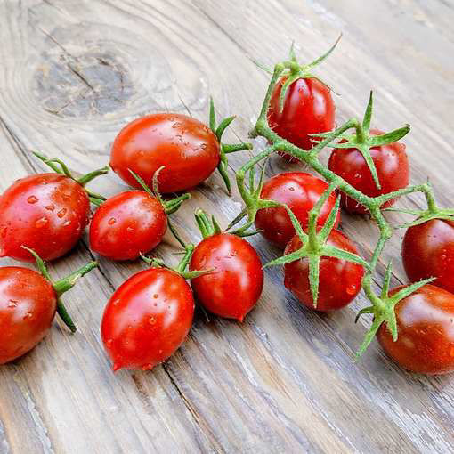 Chocomato Cherry Tomato