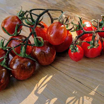 Cinnamon Pear Cherry Tomato Cinnamon Pear Cherry Tomato