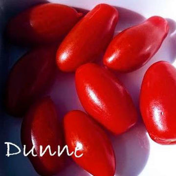 Dunne Cherry Tomato Dunne Cherry Tomato