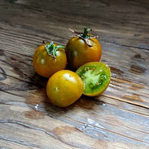 Emerald Green Cherry Tomato-Meraki Seeds