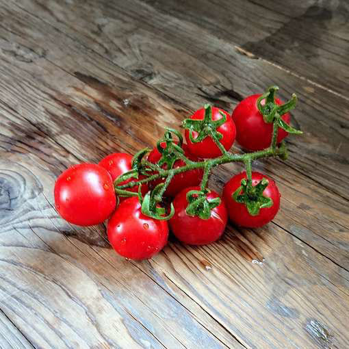 Gardeners Delight Cherry Tomato