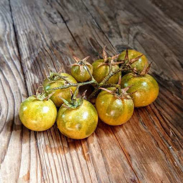 Green Krim Cherry Tomato Green Krim Cherry Tomato