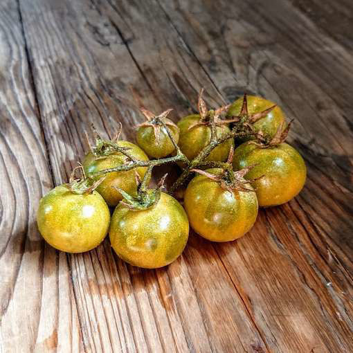 Green Krim Cherry Tomato
