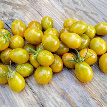 Green Pear Cherry Tomato Green Pear Cherry Tomato