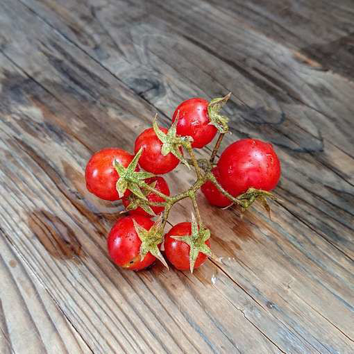 Lesvos Cherry Tomato
