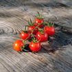 Mei Wei Cherry Tomato