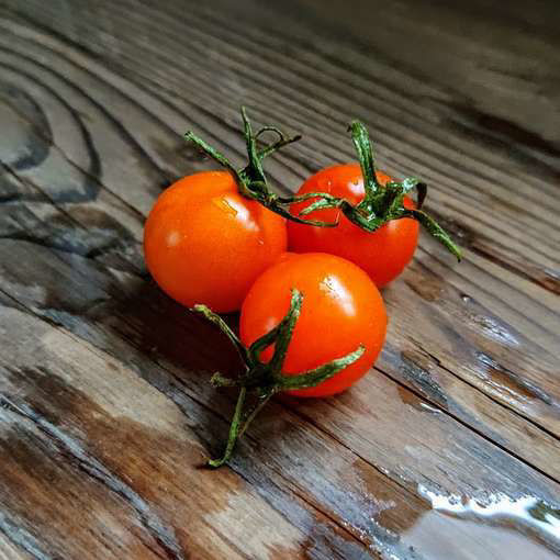 Naranja Cherry Tomato