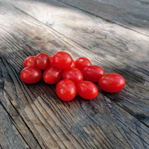 Petite Poire Cherry Tomato