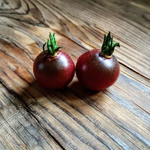 Reinhard's Purple Sugar Cherry Tomato