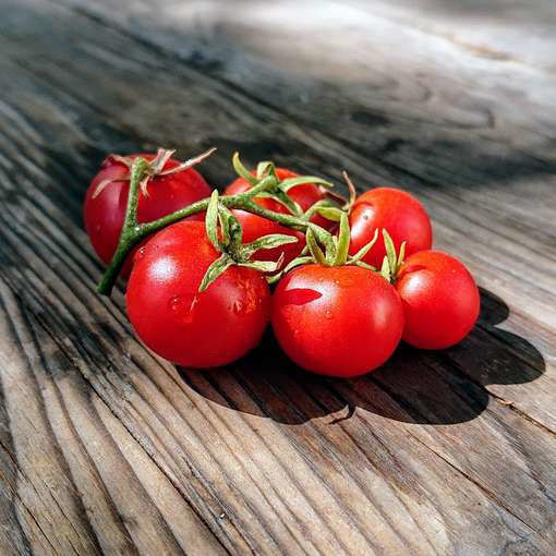 Siberian Superior Cherry Tomato