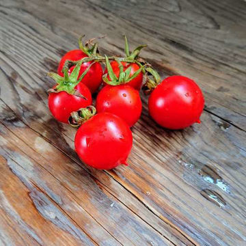 Santorini Cherry Tomato Santorini Cherry Tomato