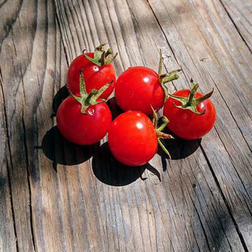 Sweetie Cherry Tomato Sweetie Cherry Tomato